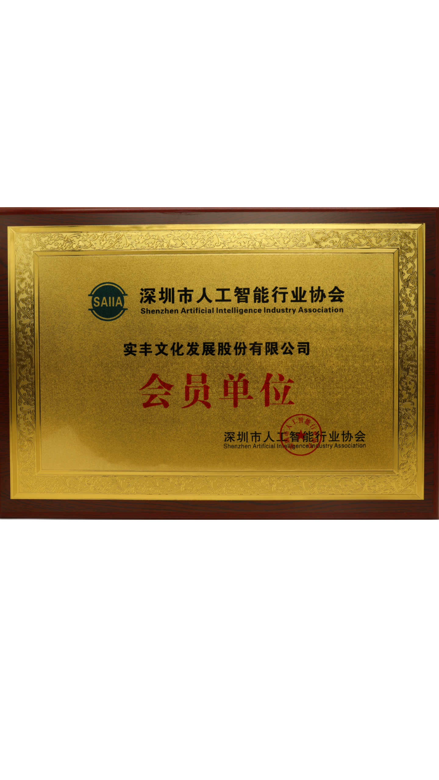 深圳市人工智能行业协会会员单位